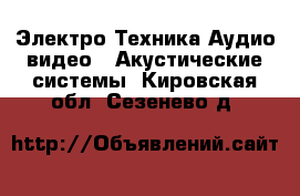 Электро-Техника Аудио-видео - Акустические системы. Кировская обл.,Сезенево д.